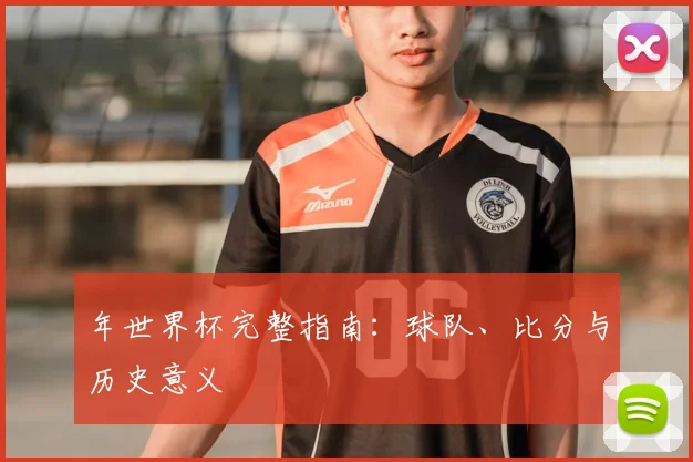 年世界杯完整指南：球队、比分与历史意义