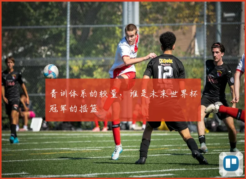青训体系的较量，谁是未来世界杯冠军的摇篮