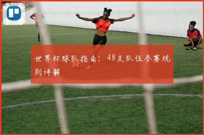 世界杯球队指南:48支队伍参赛规则详解